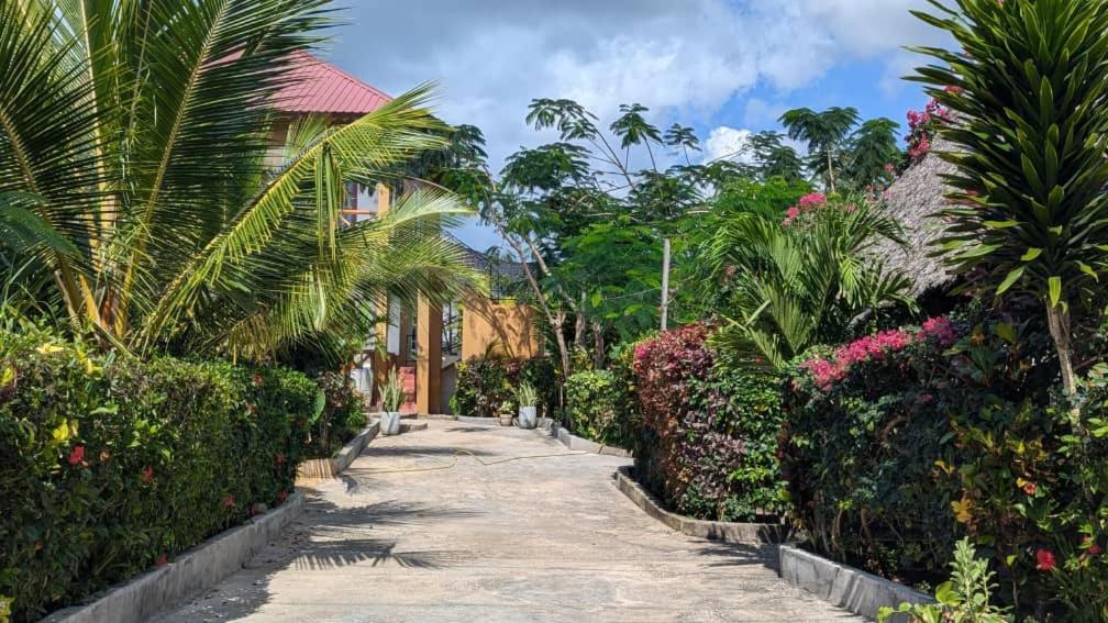 Bed & Breakfast Palm Heaven Marumbi